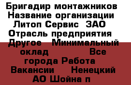 Бригадир монтажников › Название организации ­ Литоп-Сервис, ЗАО › Отрасль предприятия ­ Другое › Минимальный оклад ­ 23 000 - Все города Работа » Вакансии   . Ненецкий АО,Шойна п.